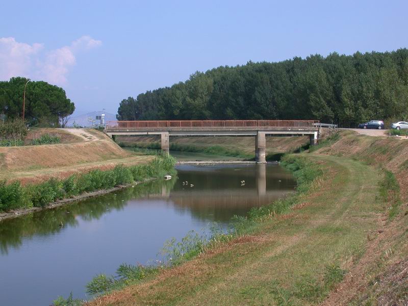 Padule di Fucecchio